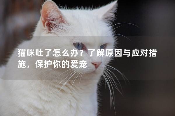 猫咪吐了怎么办？了解原因与应对措施，保护你的爱宠