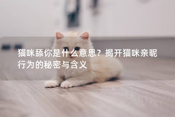 猫咪舔你是什么意思？揭开猫咪亲昵行为的秘密与含义