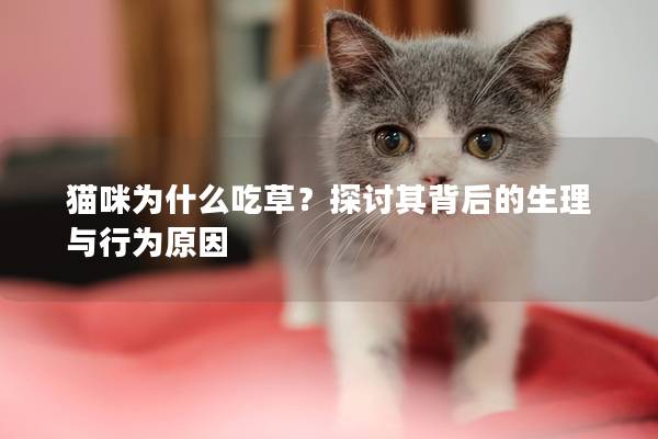 猫咪为什么吃草？探讨其背后的生理与行为原因