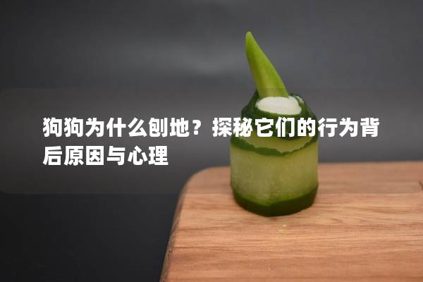 狗狗为什么刨地？探秘它们的行为背后原因与心理