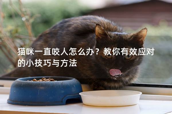 猫咪一直咬人怎么办？教你有效应对的小技巧与方法