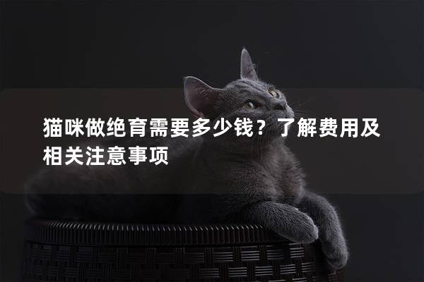 猫咪做绝育需要多少钱？了解费用及相关注意事项