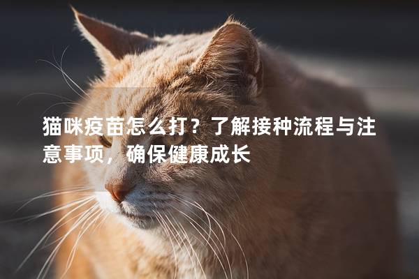 猫咪疫苗怎么打？了解接种流程与注意事项，确保健康成长