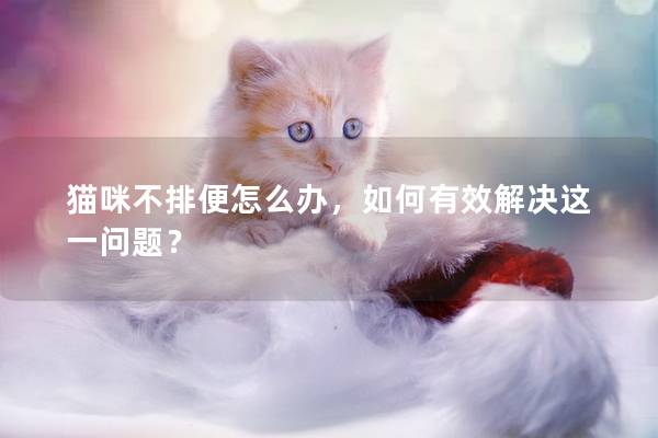 猫咪不排便怎么办，如何有效解决这一问题？