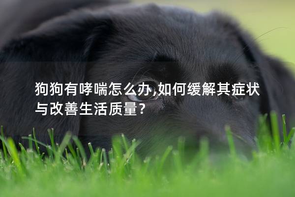 狗狗有哮喘怎么办,如何缓解其症状与改善生活质量？