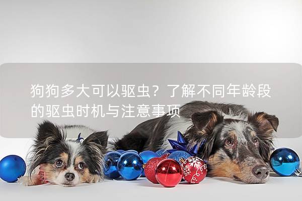 狗狗多大可以驱虫？了解不同年龄段的驱虫时机与注意事项