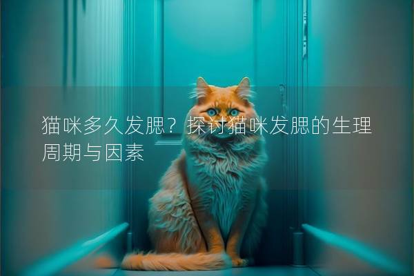 猫咪多久发腮？探讨猫咪发腮的生理周期与因素