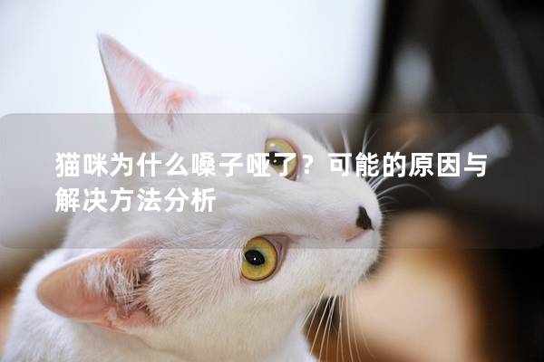 猫咪为什么嗓子哑了？可能的原因与解决方法分析