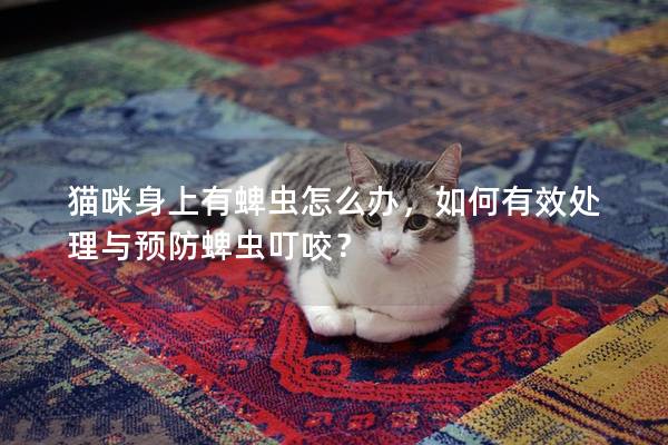 猫咪身上有蜱虫怎么办，如何有效处理与预防蜱虫叮咬？