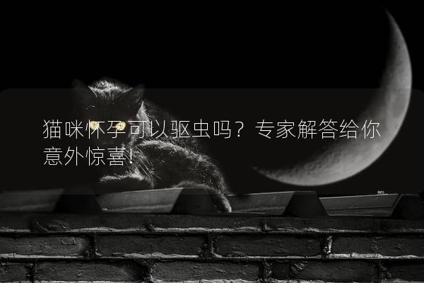 猫咪怀孕可以驱虫吗？专家解答给你意外惊喜!