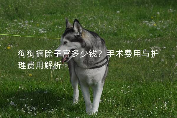 狗狗摘除子宫多少钱？手术费用与护理费用解析