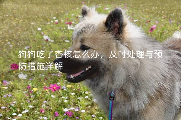 狗狗吃了杏核怎么办，及时处理与预防措施详解