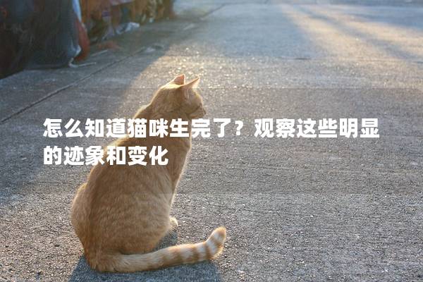 怎么知道猫咪生完了？观察这些明显的迹象和变化