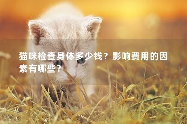 猫咪检查身体多少钱？影响费用的因素有哪些？