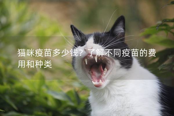 猫咪疫苗多少钱？了解不同疫苗的费用和种类