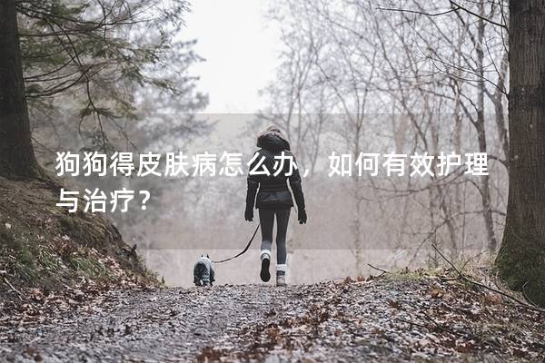 狗狗得皮肤病怎么办，如何有效护理与治疗？