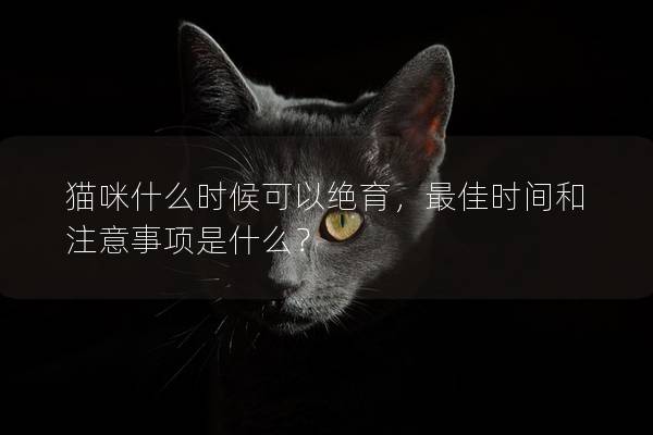 猫咪什么时候可以绝育，最佳时间和注意事项是什么？