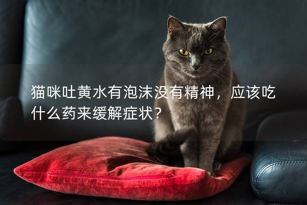 猫咪吐黄水有泡沫没有精神，应该吃什么药来缓解症状？