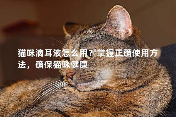 猫咪滴耳液怎么用？掌握正确使用方法，确保猫咪健康