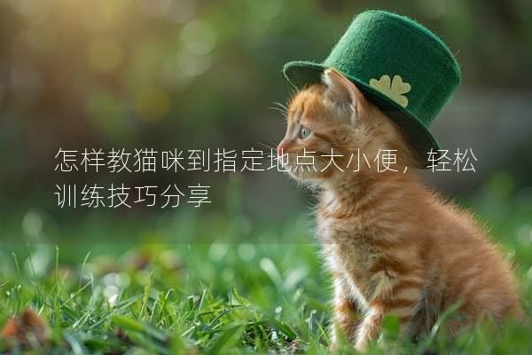 怎样教猫咪到指定地点大小便，轻松训练技巧分享