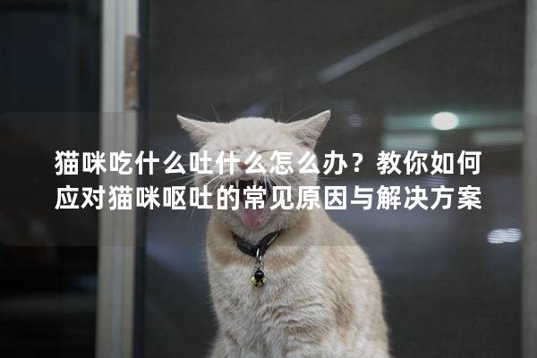 猫咪吃什么吐什么怎么办？教你如何应对猫咪呕吐的常见原因与解决方案