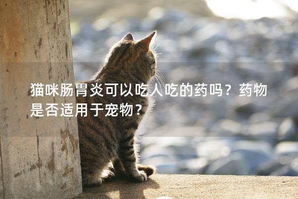 猫咪肠胃炎可以吃人吃的药吗？药物是否适用于宠物？