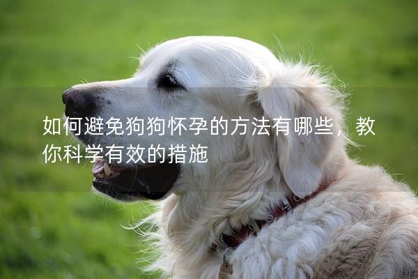 如何避免狗狗怀孕的方法有哪些,教你科学有效的措施 如何避免狗狗怀孕的方法有哪些,教你科学有效的措施