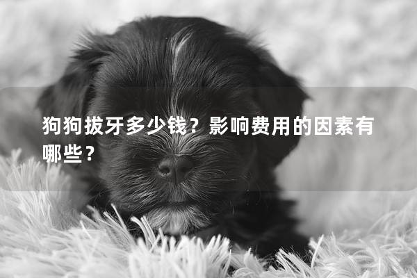 狗狗拔牙多少钱？影响费用的因素有哪些？