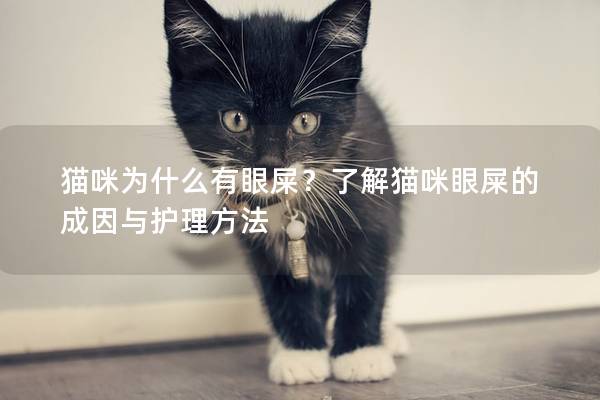 猫咪为什么有眼屎？了解猫咪眼屎的成因与护理方法