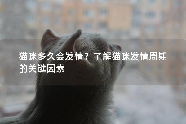 猫咪多久会发情？了解猫咪发情周期的关键因素