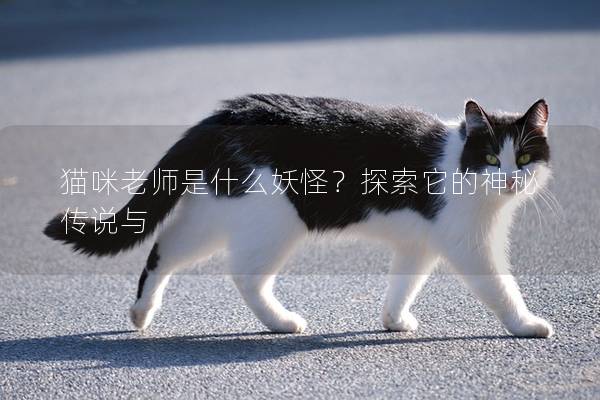 猫咪老师是什么妖怪？探索它的神秘传说与