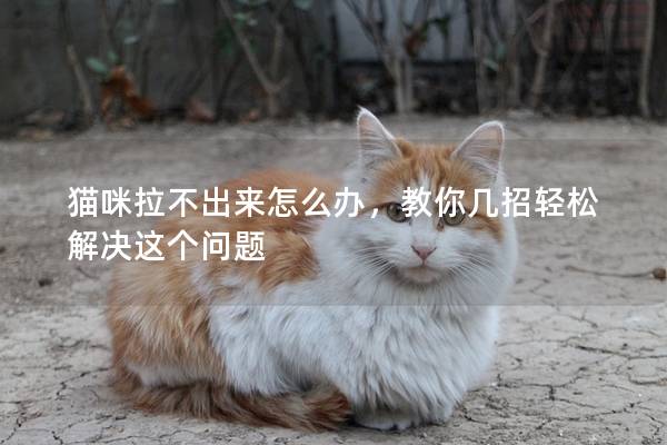 猫咪拉不出来怎么办，教你几招轻松解决这个问题