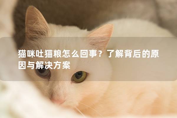 猫咪吐猫粮怎么回事？了解背后的原因与解决方案