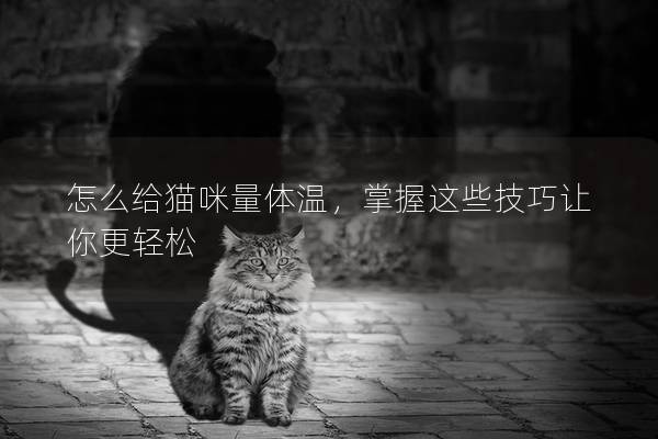 怎么给猫咪量体温，掌握这些技巧让你更轻松