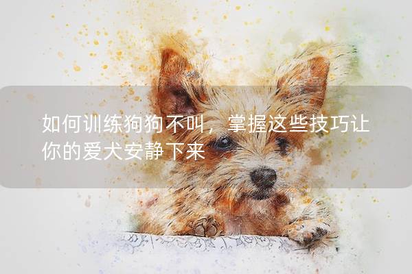 如何训练狗狗不叫，掌握这些技巧让你的爱犬安静下来