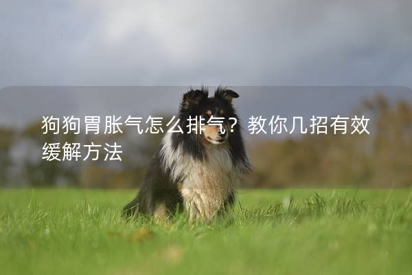 狗狗胃胀气怎么排气？教你几招有效缓解方法