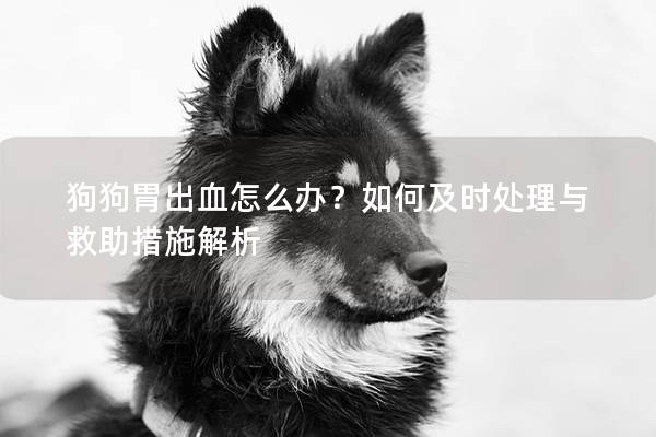 狗狗胃出血怎么办？如何及时处理与救助措施解析