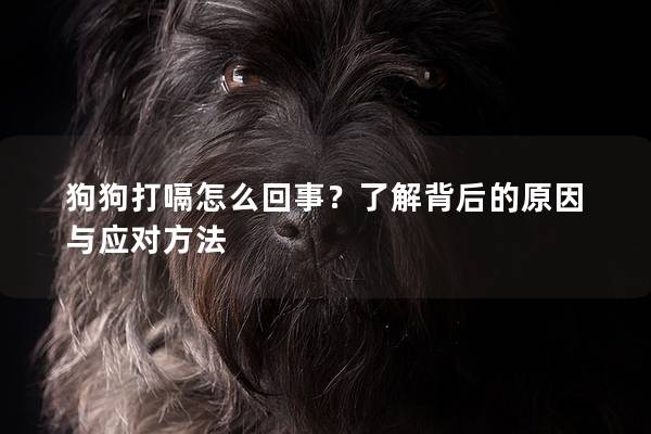 狗狗打嗝怎么回事？了解背后的原因与应对方法