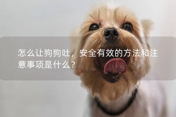 怎么让狗狗吐，安全有效的方法和注意事项是什么？