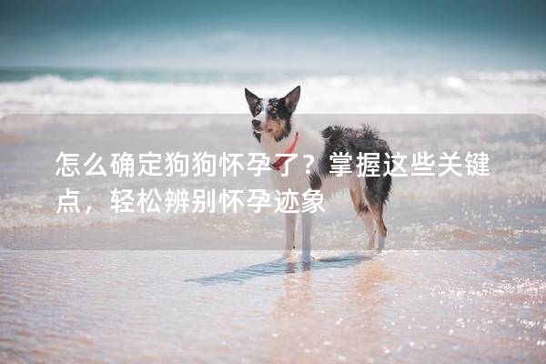 怎么确定狗狗怀孕了？掌握这些关键点，轻松辨别怀孕迹象