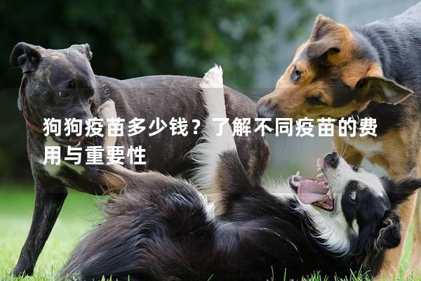 狗狗疫苗多少钱？了解不同疫苗的费用与重要性