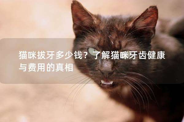 猫咪拔牙多少钱？了解猫咪牙齿健康与费用的真相