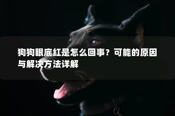 狗狗眼底红是怎么回事？可能的原因与解决方法详解