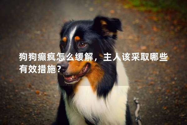 狗狗癫疯怎么缓解，主人该采取哪些有效措施？