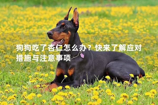 狗狗吃了杏仁怎么办？快来了解应对措施与注意事项