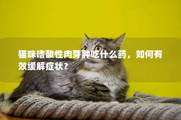 猫咪嗜酸性肉芽肿吃什么药，如何有效缓解症状？