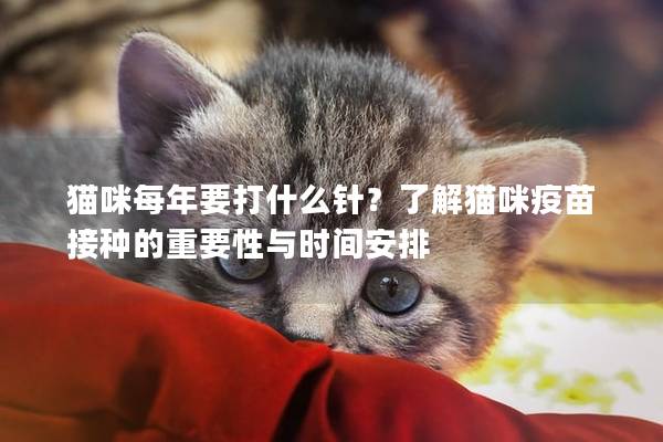 猫咪每年要打什么针？了解猫咪疫苗接种的重要性与时间安排