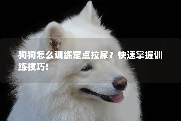 狗狗怎么训练定点拉尿？快速掌握训练技巧!