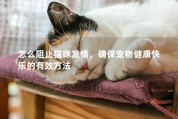 怎么阻止猫咪发情，确保宠物健康快乐的有效方法