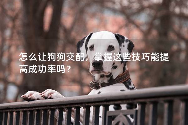 怎么让狗狗交配，掌握这些技巧能提高成功率吗？